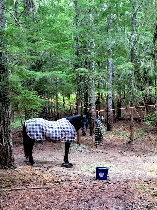 Horse Camp: Walupt Picture 6