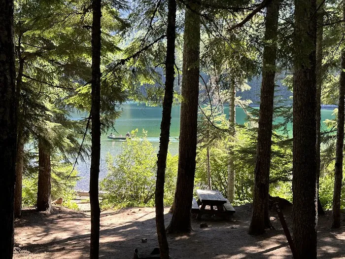 Walupt Lake Campground Picture 6