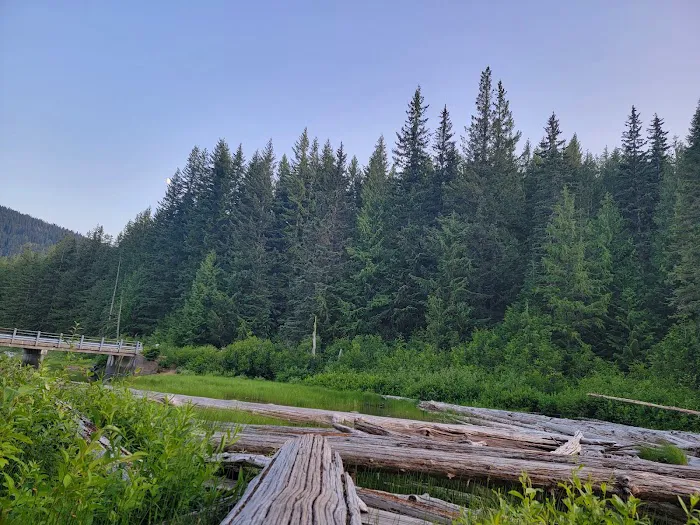 Walupt Lake Campground Picture 5