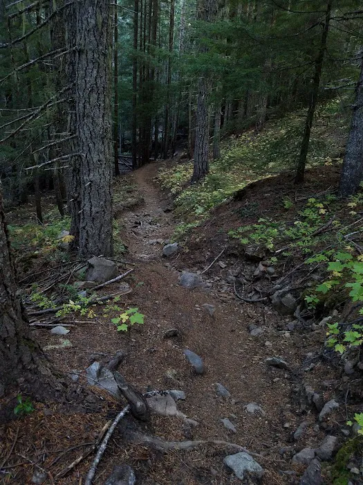 Walupt Lake Campground Picture 3