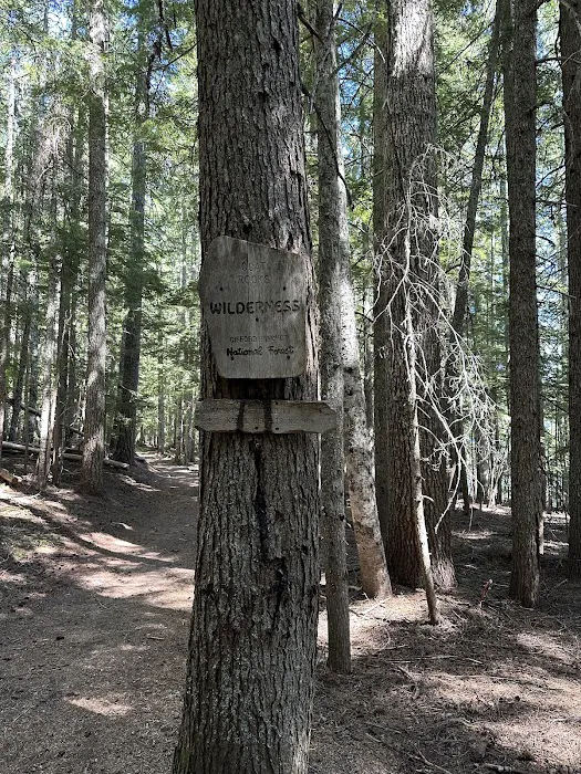 Walupt Lake Campground Picture 9