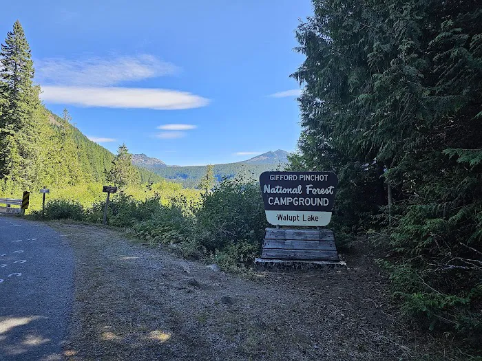 Walupt Lake Campground Picture 10