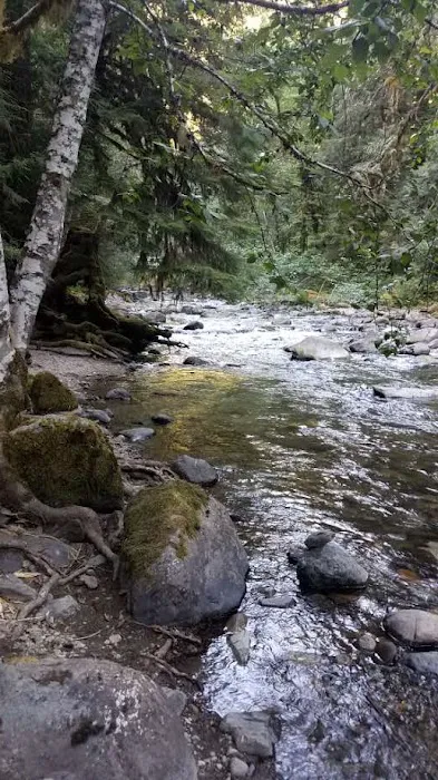 North Fork Elk Group Camp Picture 5