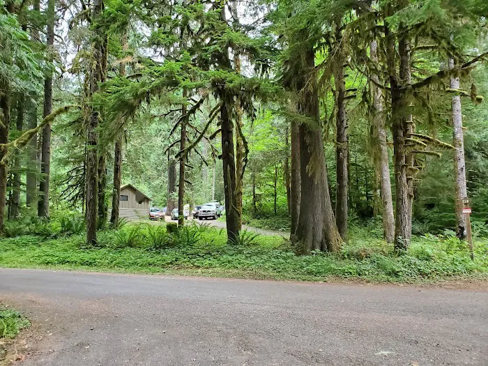 North Fork Elk Group Camp Picture 9