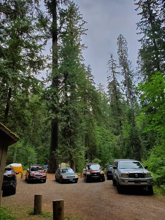 North Fork Elk Group Camp Picture 7