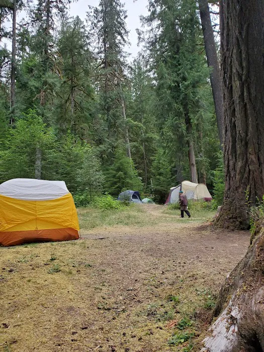 North Fork Elk Group Camp Picture 6