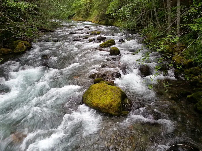 North Fork Campground Picture 4