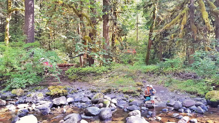 North Fork Campground Picture 3