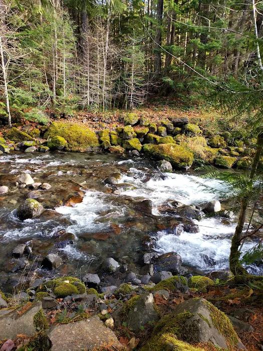 North Fork Campground Picture 5