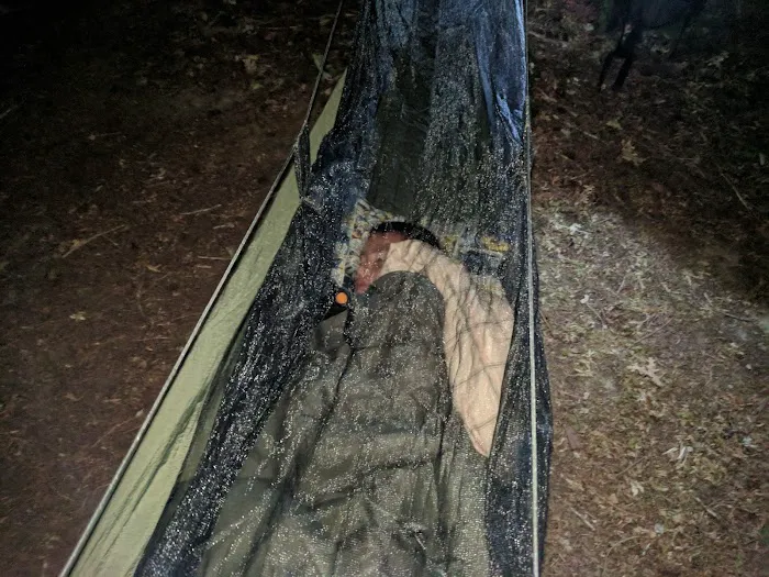 North Fork Campground Picture 2