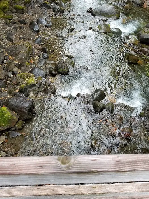 North Fork Campground Picture 10