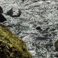 North Fork Bear Group Camp ico