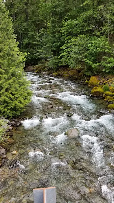 North Fork Bear Group Camp Picture 5