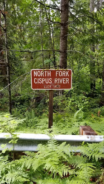 North Fork Bear Group Camp Picture 7