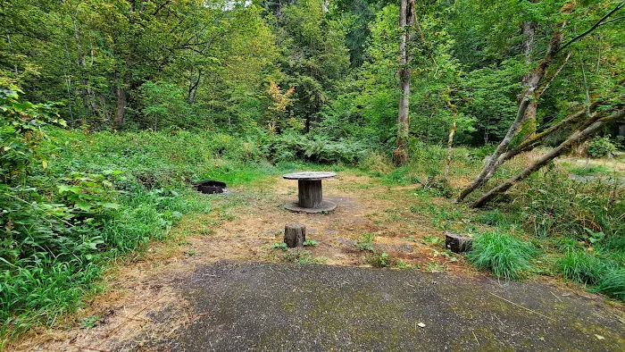 Blue Lake Creek Campground Picture 3
