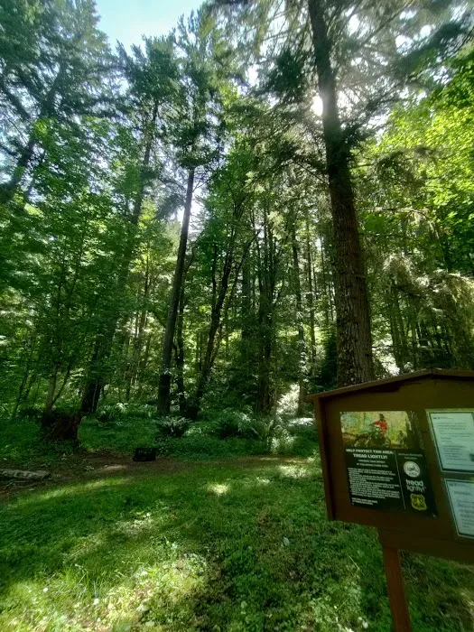 Blue Lake Creek Campground Picture 10