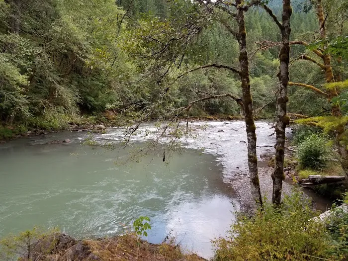 Blue Lake Creek Campground Picture 7