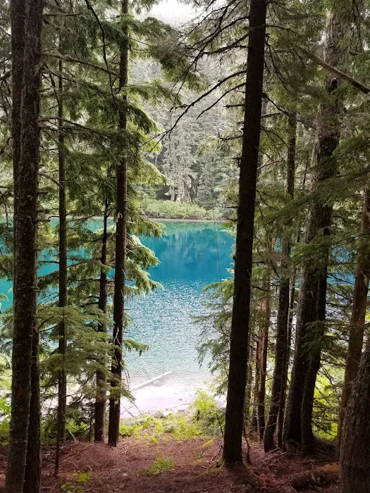 Blue Lake Creek Campground Picture 8