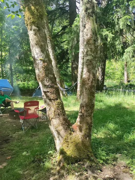Blue Lake Creek Campground Picture 9