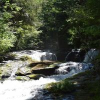 Shady Firs RV & Campsite ico