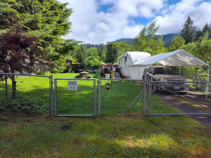 Shady Firs RV & Campsite Picture 7
