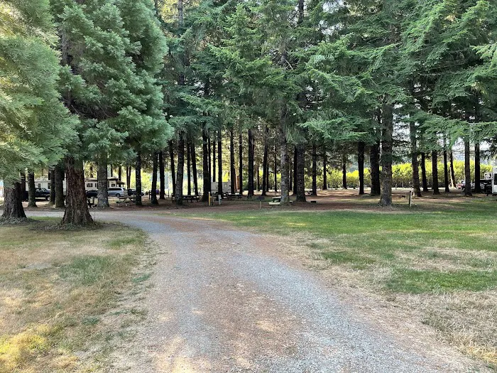 Shady Firs RV & Campsite Picture 9