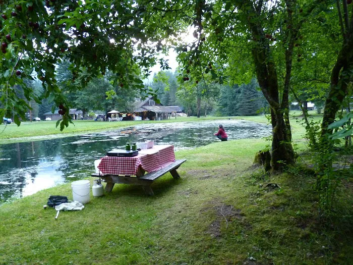 Tower Rock U-Fish RV Park Picture 6