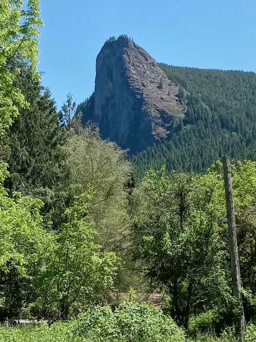 Tower Rock U-Fish RV Park Picture 4