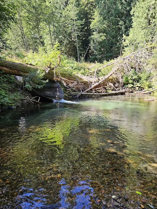 Tower Rock U-Fish RV Park Picture 2