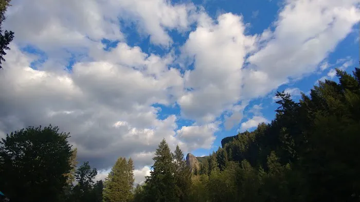 Tower Rock U-Fish RV Park Picture 9