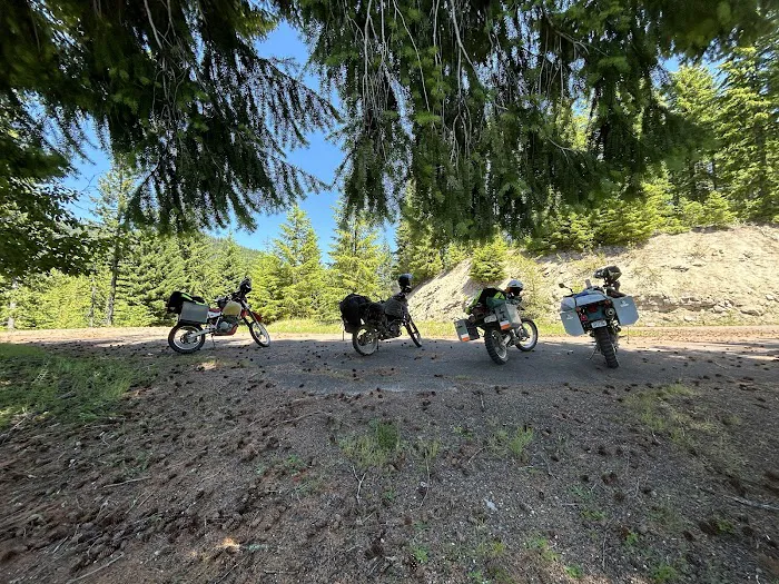 Forest Road 25 Picture 7