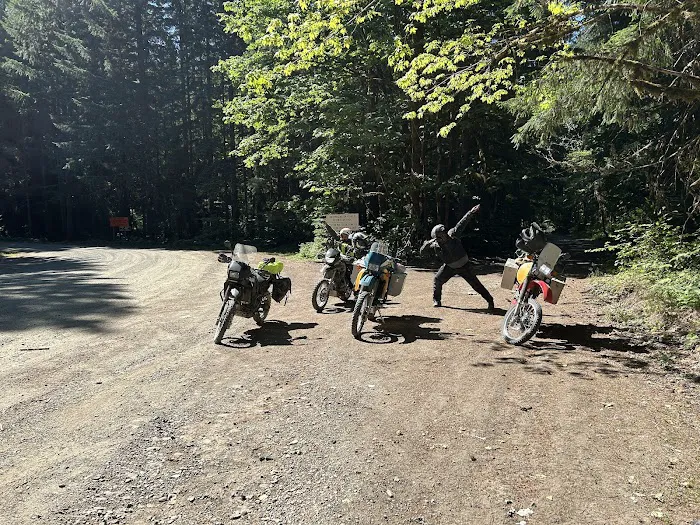 Forest Road 25 Picture 9