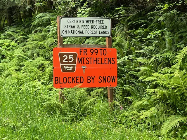 Forest Road 25 Picture 10