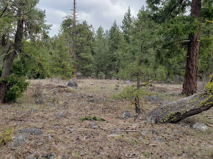 South Fork Tieton Dispersed Camping Picture 4
