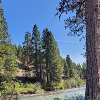South Fork Tieton Dispersed Camping ico