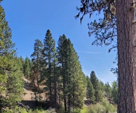 South Fork Tieton Dispersed Camping