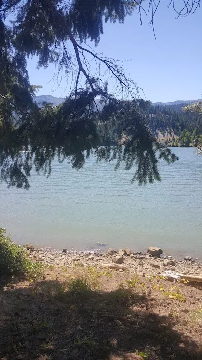 Lonesome Cove Campground Picture 8