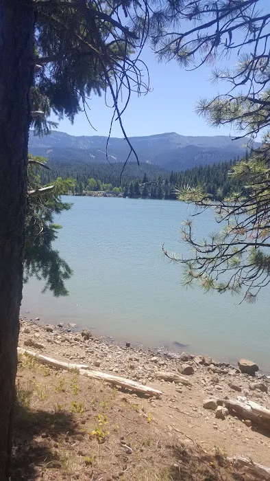 Lonesome Cove Campground Picture 9