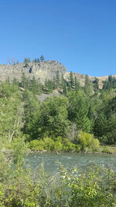 Lonesome Cove Campground Picture 7