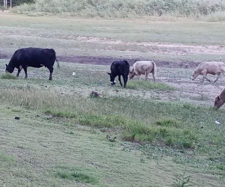 Elk Ridge Campground