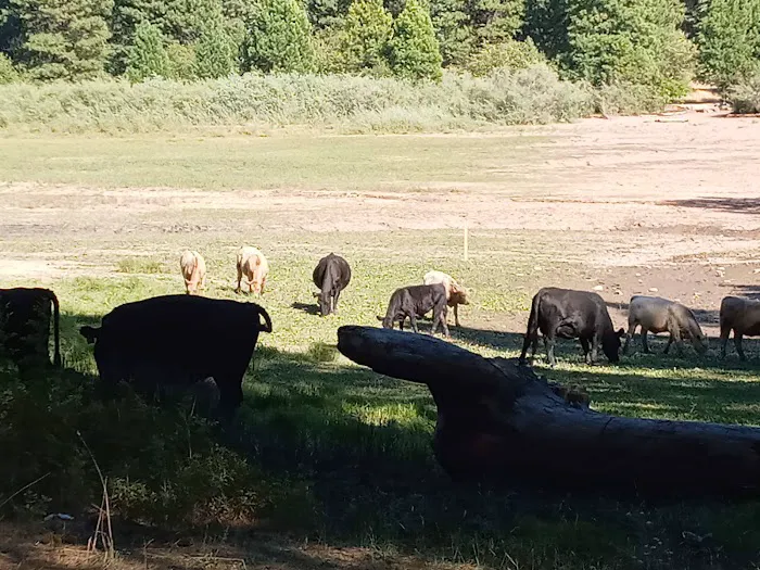 Elk Ridge Campground Picture 2