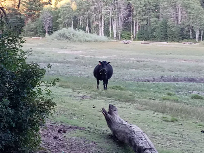 Elk Ridge Campground Picture 6