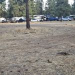 BBQ flats Horse camp