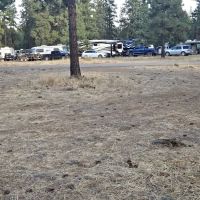 BBQ flats Horse camp ico