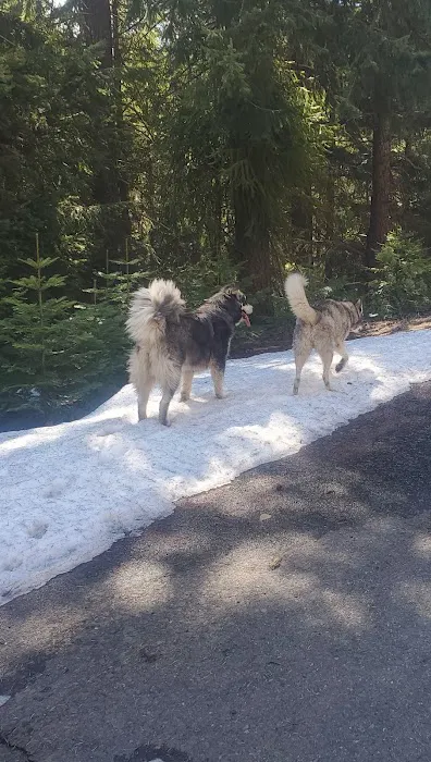 Goose Egg Sno Park Picture 4