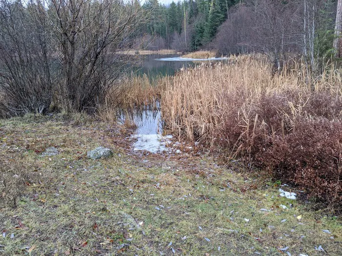 Lost Lake Camping Area Picture 5