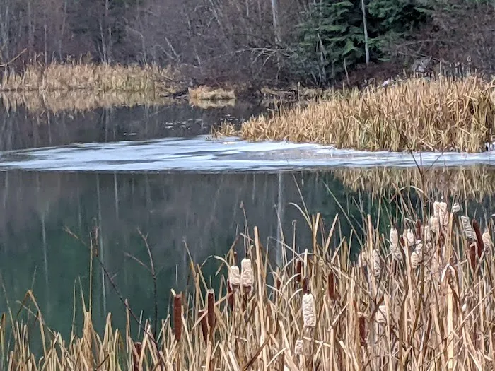 Lost Lake Camping Area Picture 4