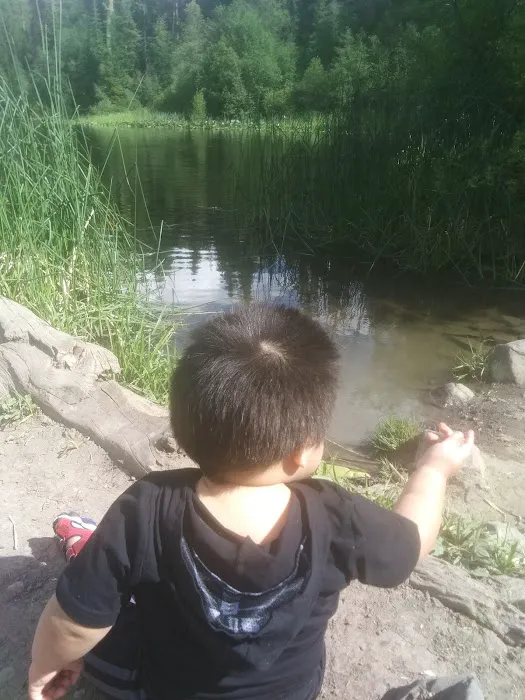 Lost Lake Camping Area Picture 9
