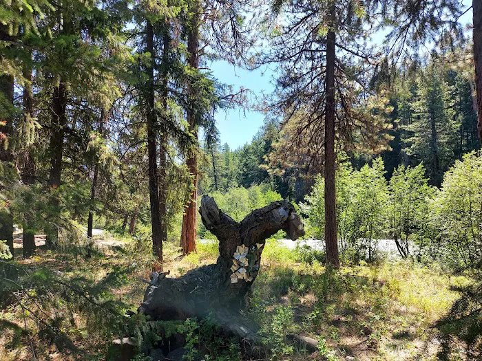 Hause Creek Campground Picture 6