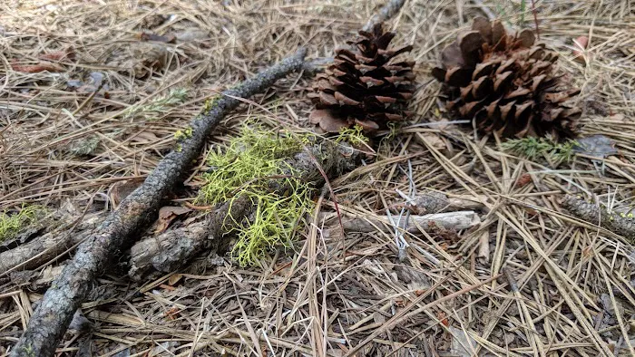 Hause Creek Campground Picture 4